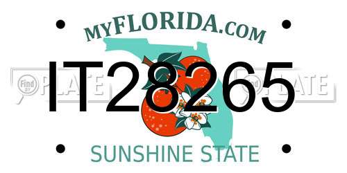 IT28265 Florida License Plate