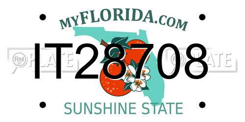 IT28708 Florida License Plate