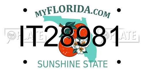 IT28981 Florida License Plate