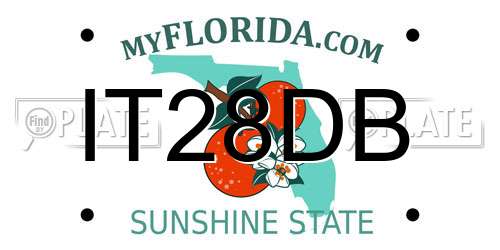 IT28DB Florida License Plate