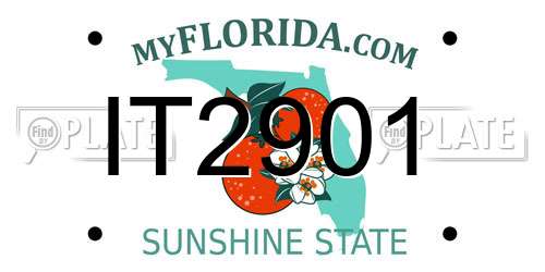 IT2901 Florida License Plate