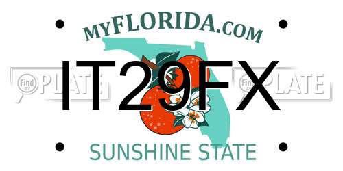 IT29FX Florida License Plate