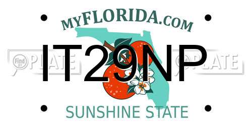 IT29NP Florida License Plate