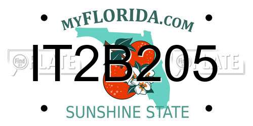 IT2B205 Florida License Plate
