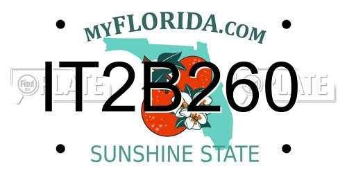 IT2B260 Florida License Plate