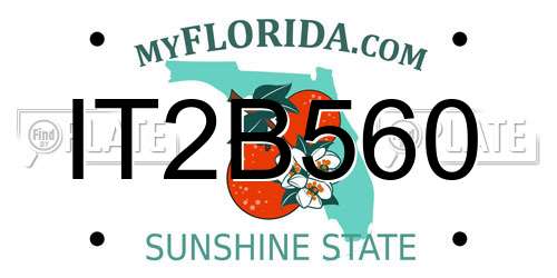 IT2B560 Florida License Plate