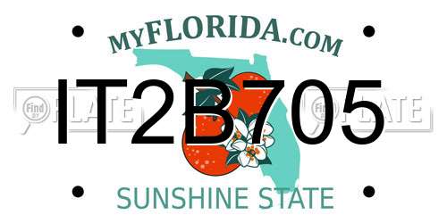 IT2B705 Florida License Plate