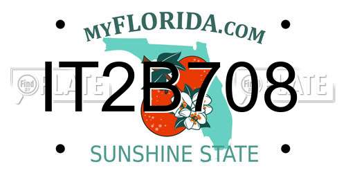 IT2B708 Florida License Plate