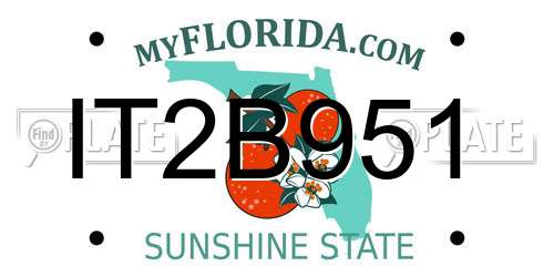 IT2B951 Florida License Plate