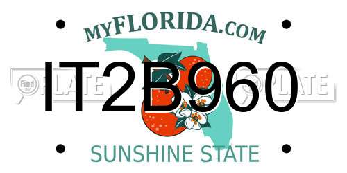 IT2B960 Florida License Plate