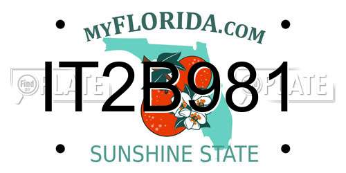 IT2B981 Florida License Plate