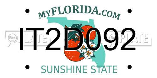IT2D092 Florida License Plate
