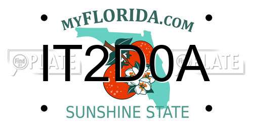 IT2D0A Florida License Plate