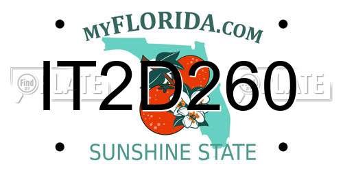IT2D260 Florida License Plate