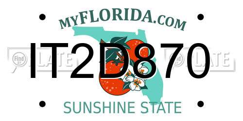 IT2D870 Florida License Plate