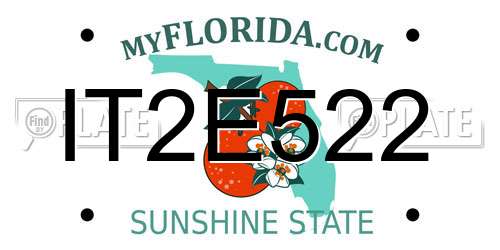 IT2E522 Florida License Plate