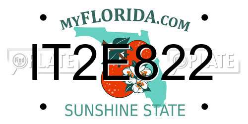 IT2E822 Florida License Plate