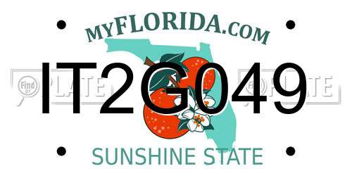 IT2G049 Florida License Plate