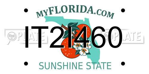 IT2I460 Florida License Plate
