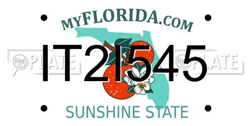 IT2I545 Florida License Plate