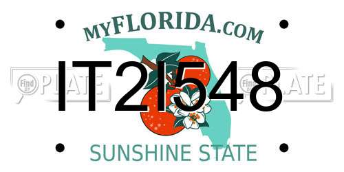 IT2I548 Florida License Plate