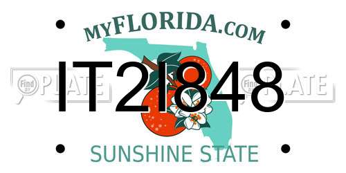 IT2I848 Florida License Plate