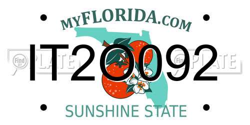 IT2O092 Florida License Plate