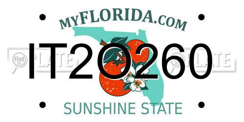 IT2O260 Florida License Plate