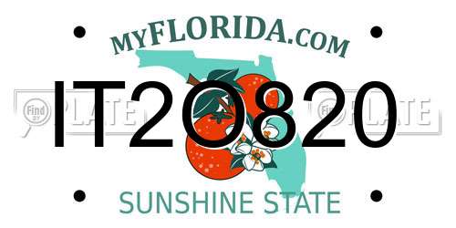 IT2O820 Florida License Plate