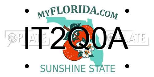 IT2Q0A Florida License Plate