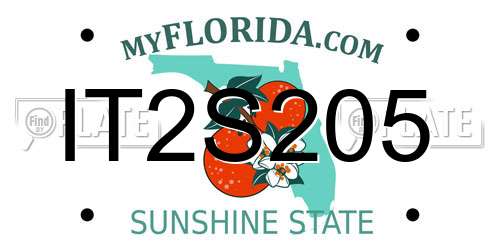 IT2S205 Florida License Plate