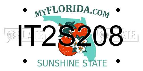 IT2S208 Florida License Plate