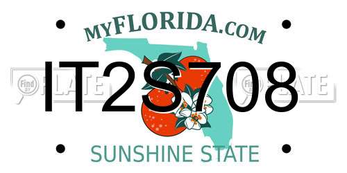 IT2S708 Florida License Plate