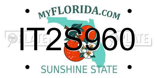 IT2S960 Florida License Plate
