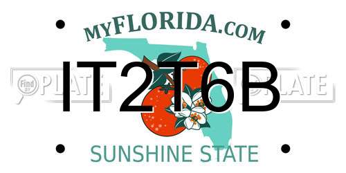 IT2T6B Florida License Plate