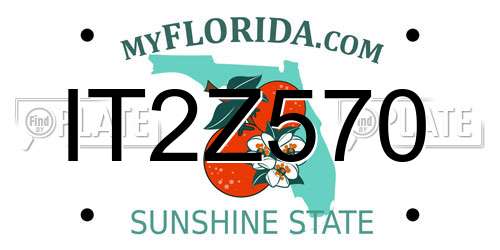 IT2Z570 Florida License Plate
