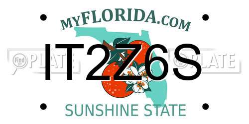 IT2Z6S Florida License Plate