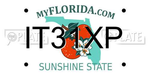 IT31XP Florida License Plate