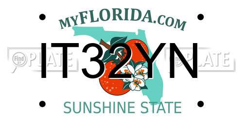 IT32YN Florida License Plate