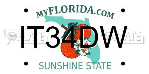 IT34DW Florida License Plate