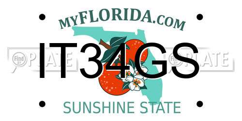 IT34GS Florida License Plate