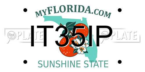 IT35IP Florida License Plate