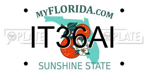 IT36AI Florida License Plate