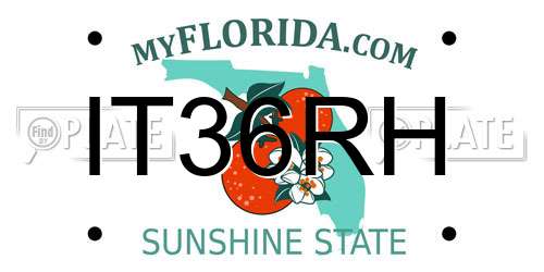 IT36RH Florida License Plate