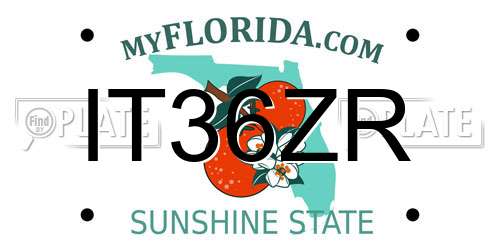 IT36ZR Florida License Plate