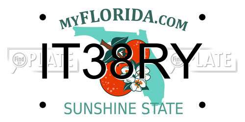 IT38RY Florida License Plate