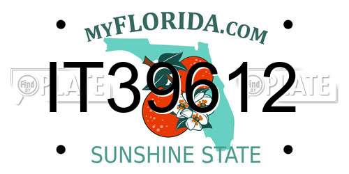 IT39612 Florida License Plate