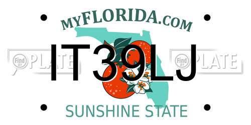 IT39LJ Florida License Plate