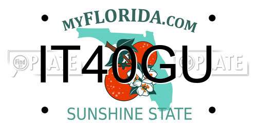 IT40GU Florida License Plate