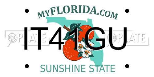 IT41GU Florida License Plate